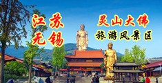 www.狂插江苏无锡灵山大佛旅游风景区