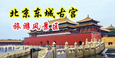 红桃操逼视频中国北京-东城古宫旅游风景区